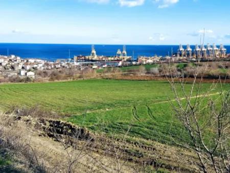 17 980 M2 Field For Sale Close To Tekirdag Barbaros Asyaport Port