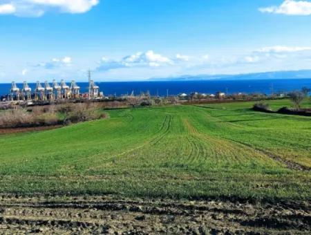 17 980 M2 Field For Sale Close To Tekirdag Barbaros Asyaport Port