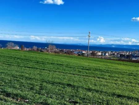 Located In Süleymanpaşa Barbaros, Tekirdag, This 11.100 M2 Residential Land Is Located In A Great Location.