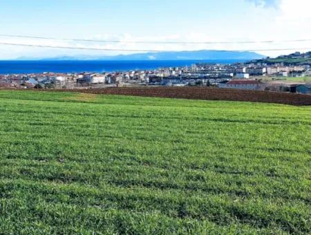 Located In Süleymanpaşa Barbaros, Tekirdag, This 11.100 M2 Residential Land Is Located In A Great Location.