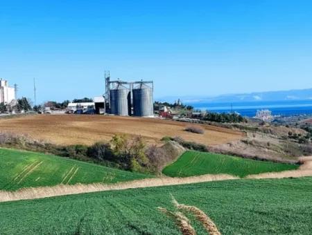 Land For Sale In 19,500 Square Meters Of Commercial And Industrial Area In Nusuratlı Area Of Tekirdağ