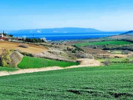 Land For Sale In 19,500 Square Meters Of Commercial And Industrial Area In Nusuratlı Area Of Tekirdağ