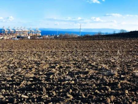 18 100 M2 Residential Zoned Field Located Very Close To Tekirdağ Barbaros Asyaport Port