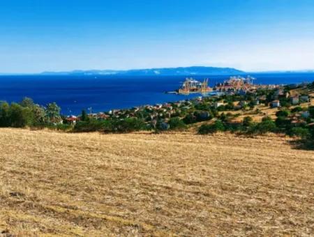 Land For Sale In Tekirdag Süleymanpaşa Barbaros, With A Large Area Of 8.100 M2 And In A Location Overlooking The Magnificent Sea View