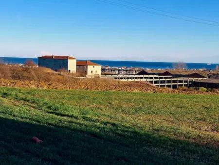 3.100 M2 Field For Sale In Tekirdag Süleymanpaşa Barbaros With Magnificent Sea And Nature Views
