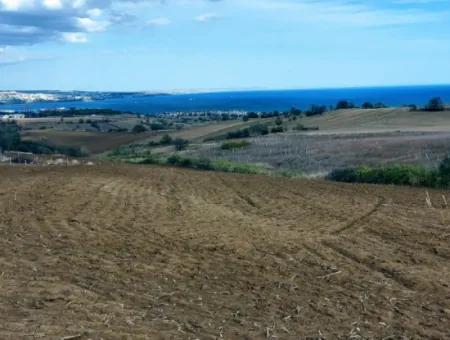 Land Zoned For Two Storey Villa With Full Sea And Nature View In Excellent Location, 503 M2 In Barbarosta, Tekirdag