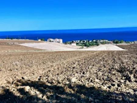 A Cooperative Place With A Wonderful Sea View For Urgent Sale In Tekirdag Topağaç Neighborhood And Suitable For Site Construction