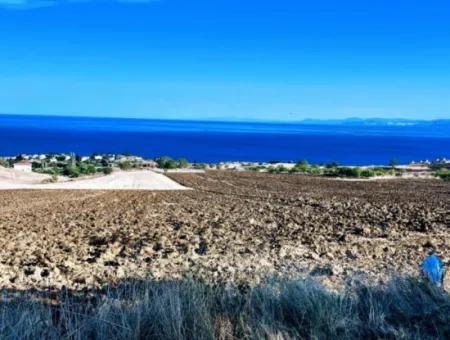 A Cooperative Place With A Wonderful Sea View For Urgent Sale In Tekirdag Topağaç Neighborhood And Suitable For Site Construction