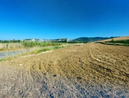 Coupon Field Suitable For Putting A Tiny House With Main Road Front For Urgent Sale In Tekirdag Naip Neighborhood