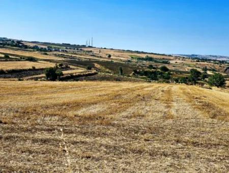 2.650 M2 Villa For Urgent Sale In Tekirdag Barbarosta Zoned Coupon Field Suitable For Investment