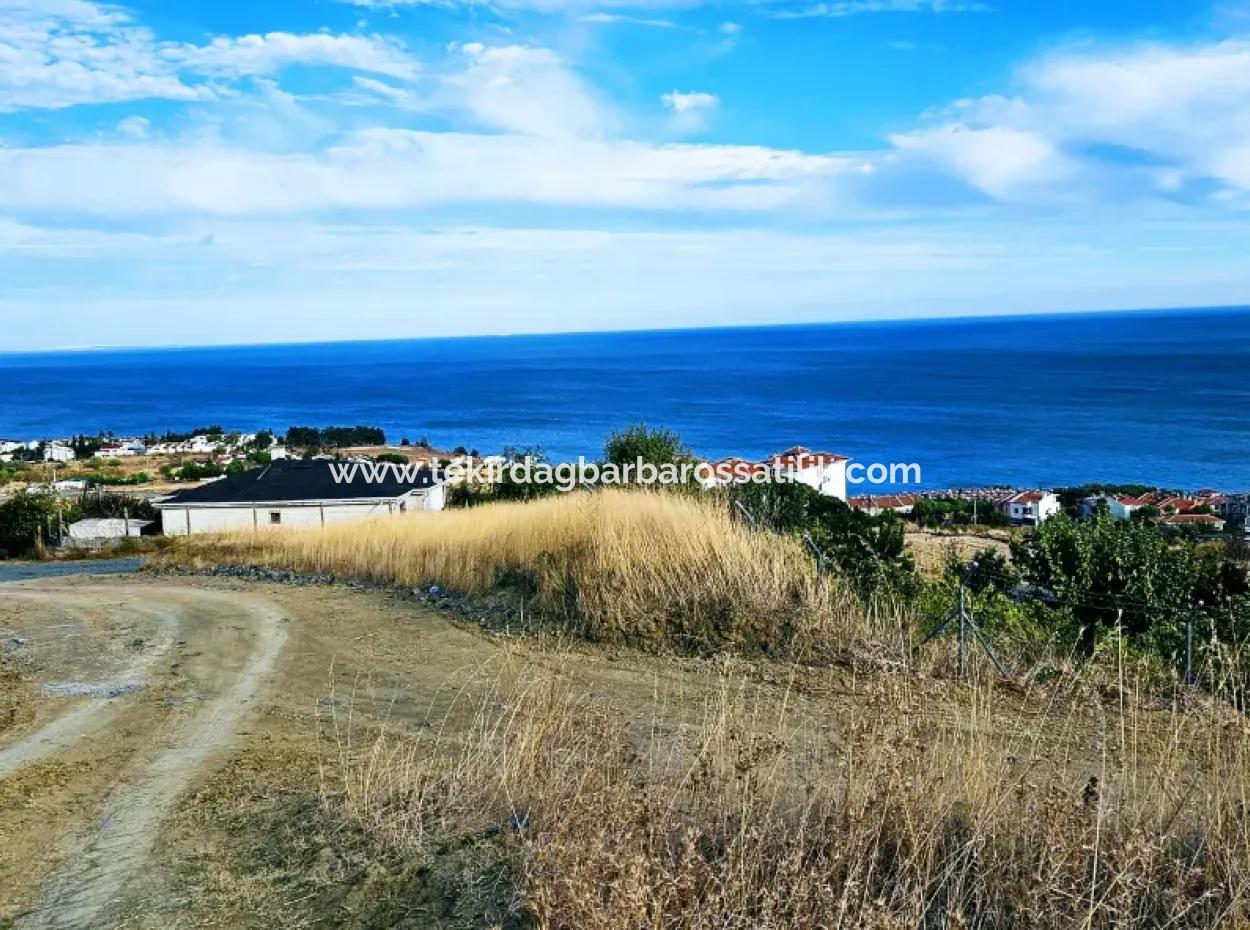 Tekirdağ Barbarosta Acil Satılık Full Deniz Manzaralı Kooparetif Site Yapımına Uygun 3.300 M2 Net Arsa