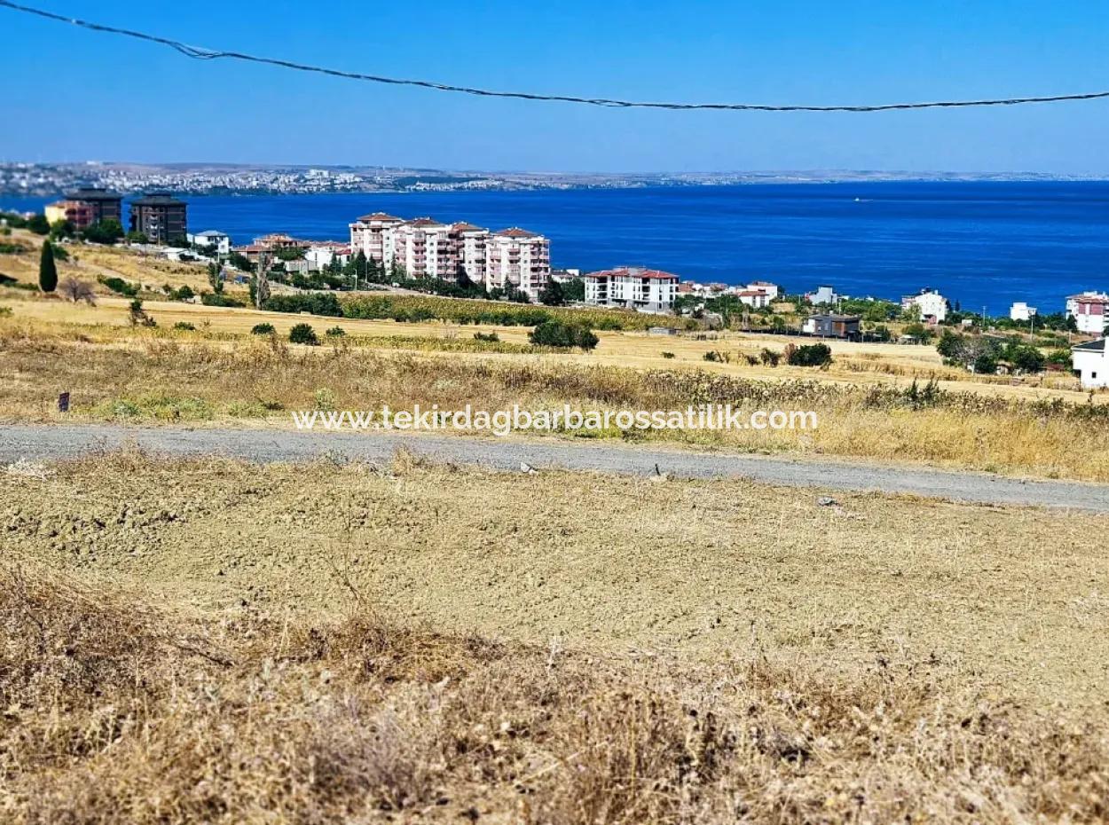 Tekirdağ Barbarosta Acil Satılık Hayelinizdeki Müstakik Evinizi Yapmaya Uygun Fırsat Arsa