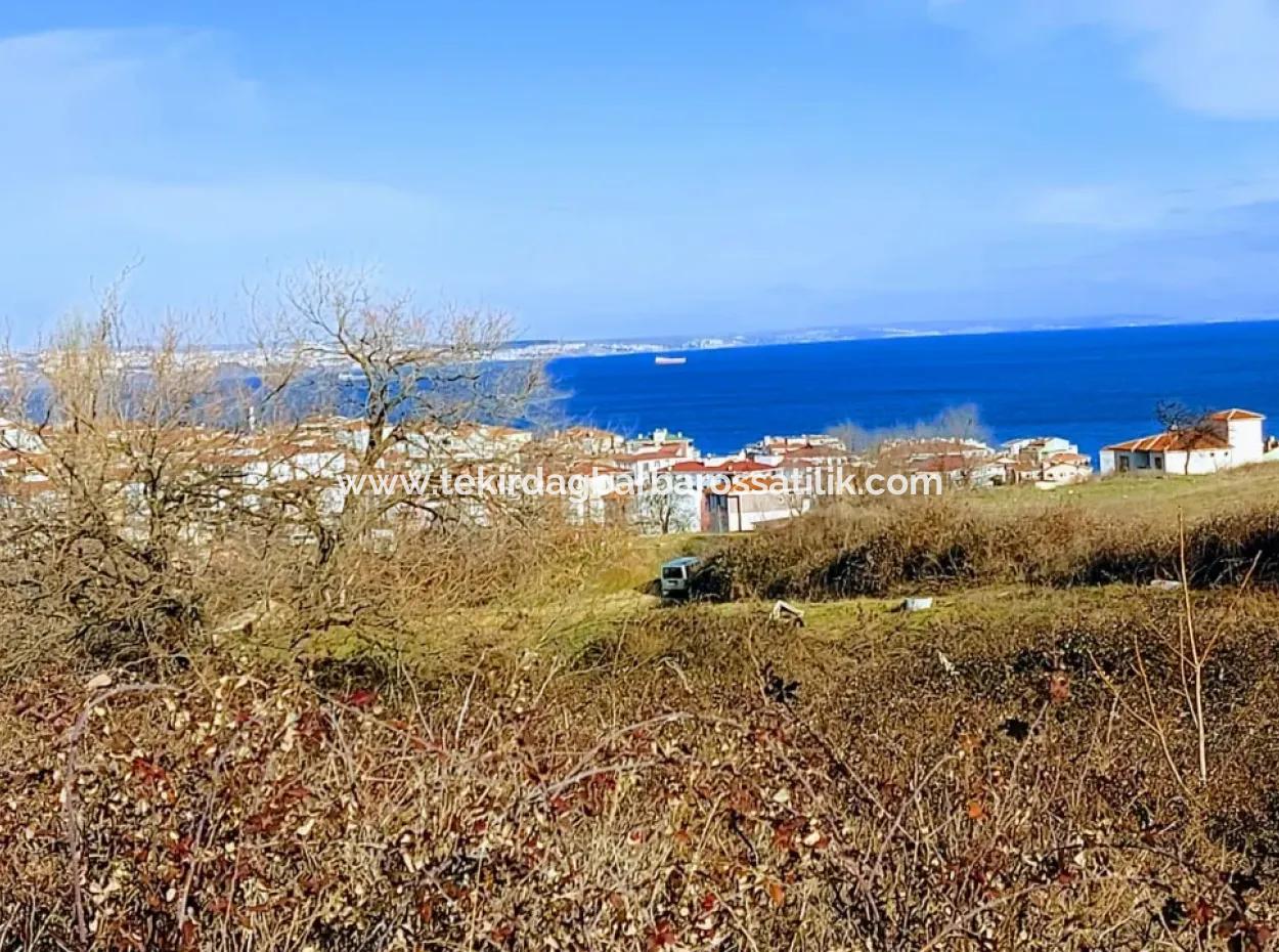 Tekirdağ Süleymanpaşa Barbaros Mahallesinde 4 Kat İmarlı Acil Satılık Arsa