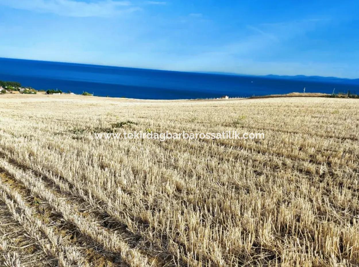 Tekirdağ Süleymanpaşa Barbaros Mahallesinde 1 750 M2 Deniz Ve Doğa Manzaralarına Sahip Yüksek Bir Konumda Yer Almaktadır.