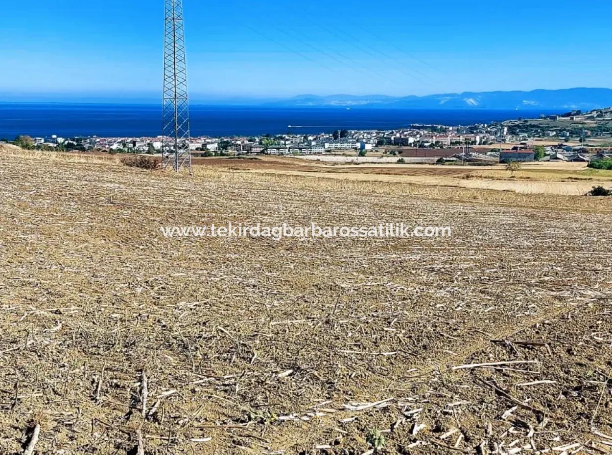 Tekirdağ Barbaros'ta Bulunan 21,900 M2 Arsa, Asyaport Limanı Mevcut İmar Planı İçinde Yer Almaktadır