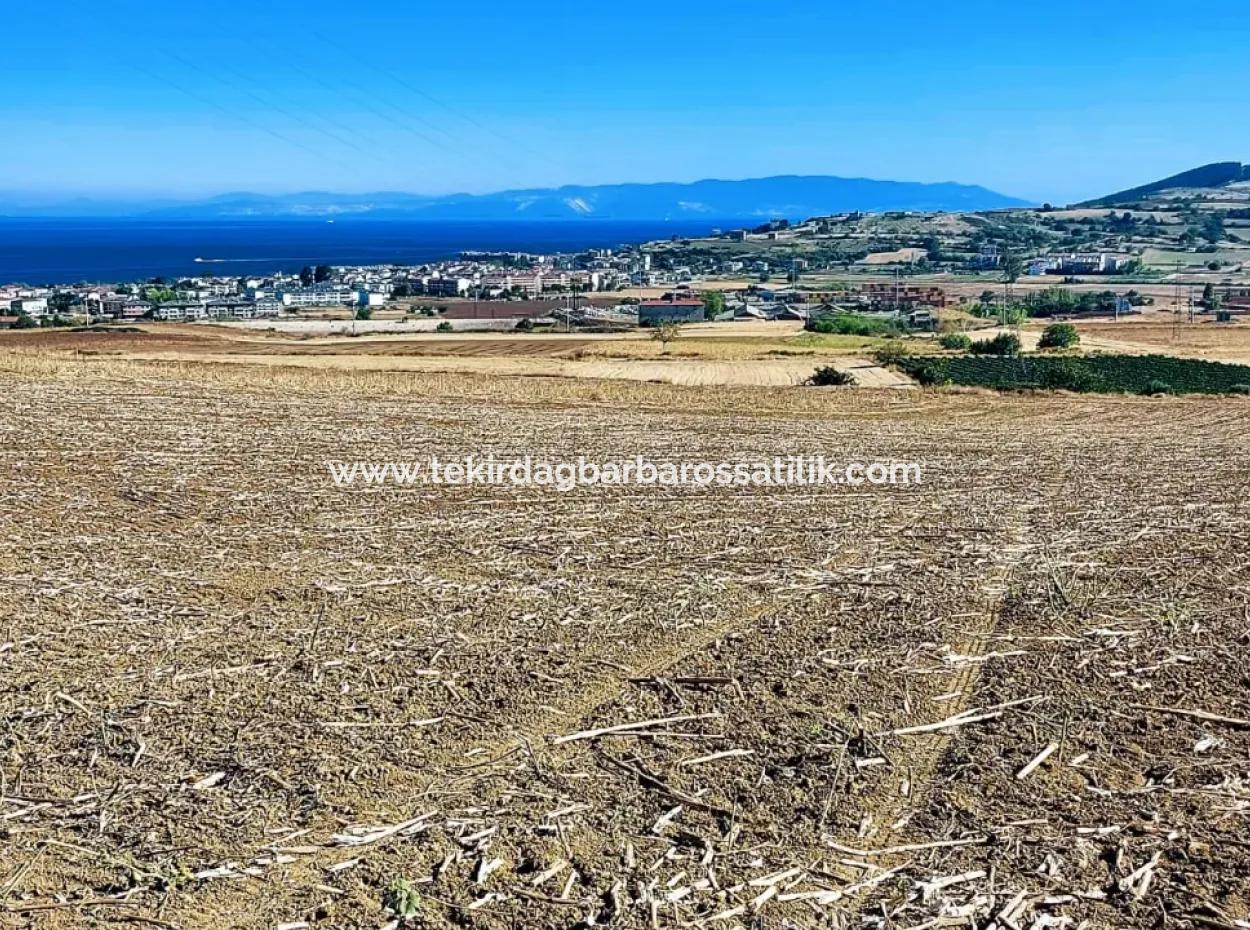 Tekirdağ Barbaros'ta Bulunan 21,900 M2 Arsa, Asyaport Limanı Mevcut İmar Planı İçinde Yer Almaktadır