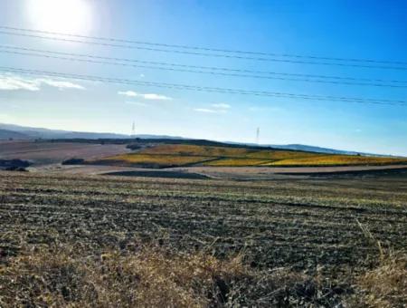 Asyaport Limanı Mevcut İmar Planı İçinde ( Ticari & Sanaii ) Alanı İçinde Anayol Cepheli 37.500 M2 Yatırım Fırsatı