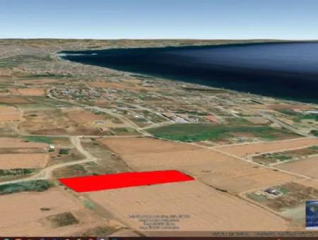 Tekirdağ Barbarosta Acil Satılık Kooparetif Ve Site Yapmaya Uygun. Yatırımcısına Yüksek Kaznç Garantisi