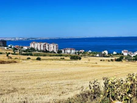 Tekirdağ Barbarosta Acil Satılık Hayelinizdeki Müstakik Evinizi Yapmaya Uygun Fırsat Arsa