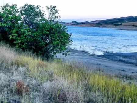 Tekirdağ Yeniköyde Satılık 3.000 M2 Gölete Cepheli Satılık Tarla