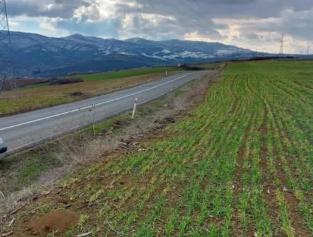 Tekirdağ Çanakçı Mahallesindeki Bu Anayola Cepheli 4.100 Metrekarelik Arazi