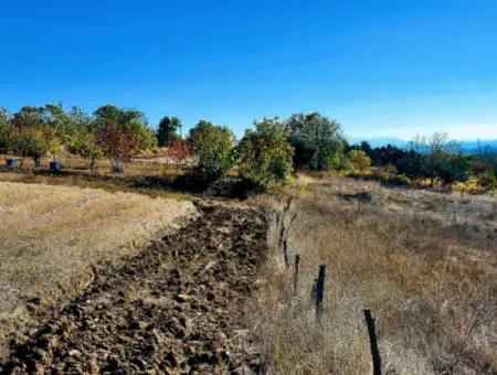 Tekirdağ Barbaros'ta Bulunan Bu Rezerve Konut Alanı İçindeki 2.650 Metrekarelik Arazi