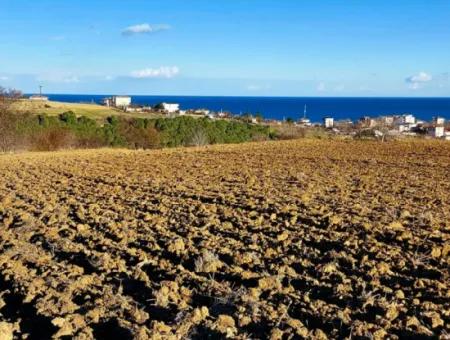 Tekirdağ'ın Süleymanpaşa Barbaros Mevkisinde Bulunan Eşsiz 17.800 M2 Konut İmarlı Arsa