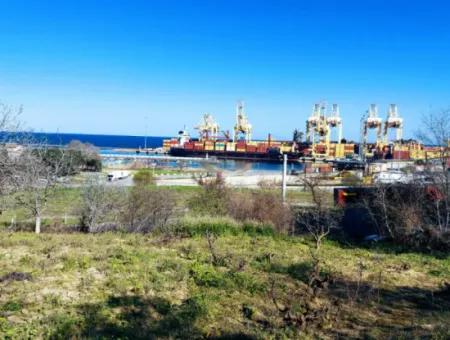 Tekirdağ Süleymanpaşa Barbaros Mahallesinde Asyaport Limanına 100  Metre Yakınlıkta Arsa