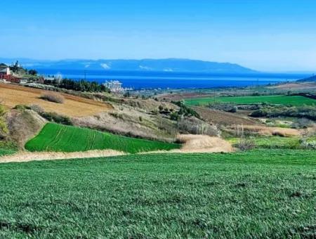 Tekirdağ'ın Nusuratlı Mevkisinde 19.500 Metrekarelik Ticari Ve Sanayi Alanında Satılık Tarla