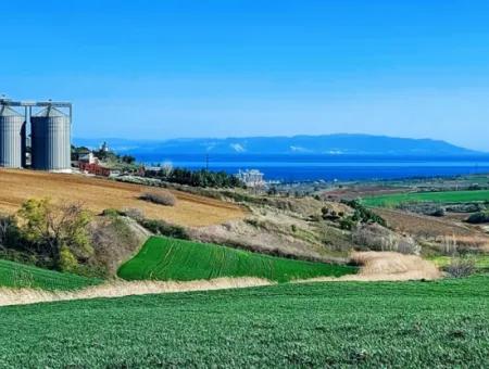 Tekirdağ'ın Nusuratlı Mevkisinde 19.500 Metrekarelik Ticari Ve Sanayi Alanında Satılık Tarla