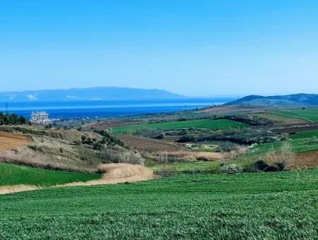 Tekirdağ'ın Nusuratlı Mevkisinde 19.500 Metrekarelik Ticari Ve Sanayi Alanında Satılık Tarla