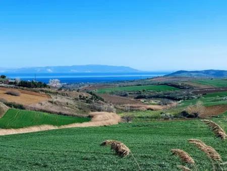 Tekirdağ'ın Nusuratlı Mevkisinde 19.500 Metrekarelik Ticari Ve Sanayi Alanında Satılık Tarla