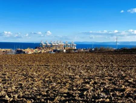 Tekirdağ Barbaros Asyaport Limanına Çok Yakın Konumda Bulunan 18 100 M2 Konut İmarlı Tarla