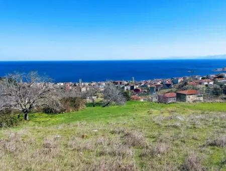 Tekirdağ Süleymanpaşa Barbaros Mahallesinde Muhteşem Deniz Ve Doğa Manzaralı Satılık 532 M2 Köşe Arsa