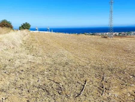 Tekirdağ Barbaros'ta Bulunan 21,900 M2 Arsa, Asyaport Limanı Mevcut İmar Planı İçinde Yer Almaktadır