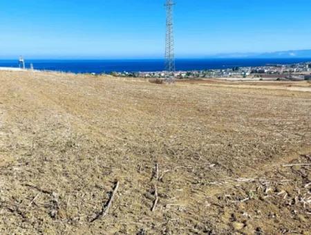 Tekirdağ Barbaros'ta Bulunan 21,900 M2 Arsa, Asyaport Limanı Mevcut İmar Planı İçinde Yer Almaktadır