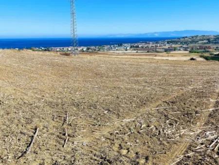 Tekirdağ Barbaros'ta Bulunan 21,900 M2 Arsa, Asyaport Limanı Mevcut İmar Planı İçinde Yer Almaktadır