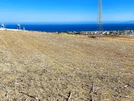 Tekirdağ Barbaros'ta Bulunan 21,900 M2 Arsa, Asyaport Limanı Mevcut İmar Planı İçinde Yer Almaktadır