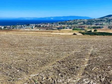 Tekirdağ Barbaros'ta Bulunan 21,900 M2 Arsa, Asyaport Limanı Mevcut İmar Planı İçinde Yer Almaktadır