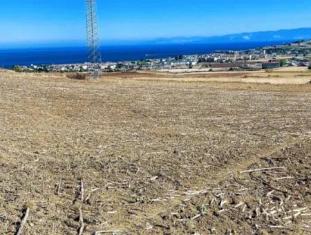 Tekirdağ Barbaros'ta Bulunan 21,900 M2 Arsa, Asyaport Limanı Mevcut İmar Planı İçinde Yer Almaktadır