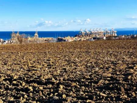 Tekirdağ Barbaros Asyaport Limanına Yakın, Muazzam Manzaralı 17.100 M2 Konut İmarlı Tarla