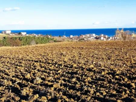 Tekirdağ Barbaros Asyaport Limanına Yakın, Muazzam Manzaralı 17.100 M2 Konut İmarlı Tarla