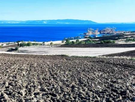 Tekirdağ Barbarosta Acil Satılık Full Deniz Manzaralı Kooparetif Ve Site Yapımına Uygun Yer
