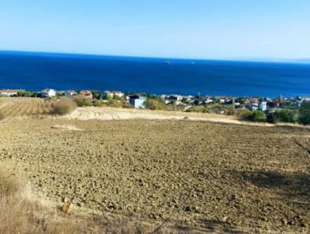 Tekirdağ Barbarosta Satılık 16.850 M2 Full Deniz Manzaralı Kooparetif Ve Site Yapımına Uygun Yer