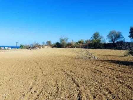 Yatırım Fırsatı: Tekirdağ Barbaros Satılık 615 M2 Köşe Arsa - Acil Satılık, Deniz Ve Doğa Manzaralı, %30 İmarlı