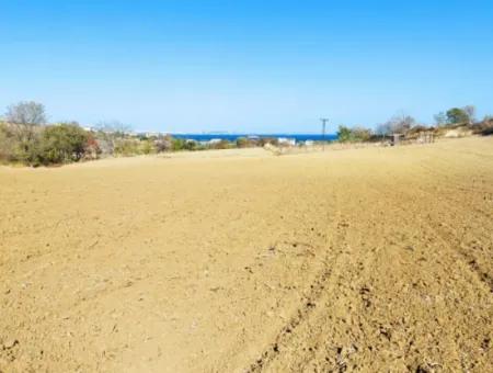 Tekirdağ Barbarosta Acil Satılık 615 M2 Kelepir Arsa Sadece 2.000.000 Tl