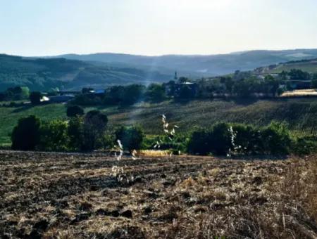 Azyaport Limanı Mevcut İmara Yakın 16.100 Acil Satılık Yatırımlık Kelepir Kupon Tarla